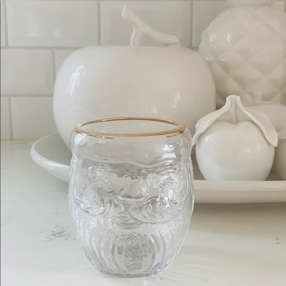 Anthropologie Other - Anthropologie Santa Claus North Pole Juice Glass